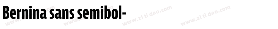 Bernina sans semibol字体转换